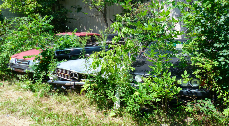 Illustration for article titled Two Years and 180 Cars Later, Michigan Man Forced to Sell 20 Cars A Month Has Eight Days To Clear His Lot